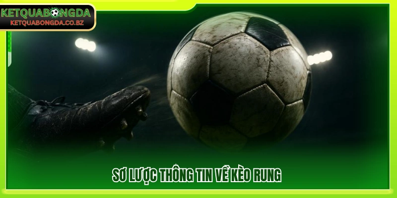 Giới thiệu khái niệm kèo rung trong cá cược