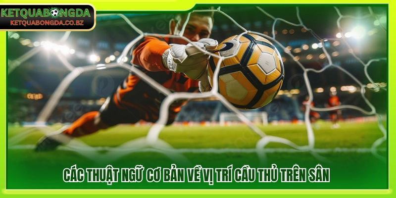 Khái niệm cơ bản về vai trò cầu thủ trên sân